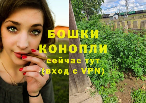 крисы Белоозёрский