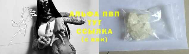 крисы Белоозёрский