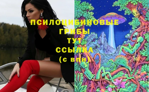 марки nbome Белокуриха