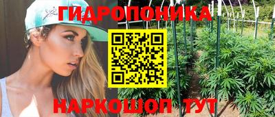 герыч Дубна