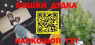 гидра Донской