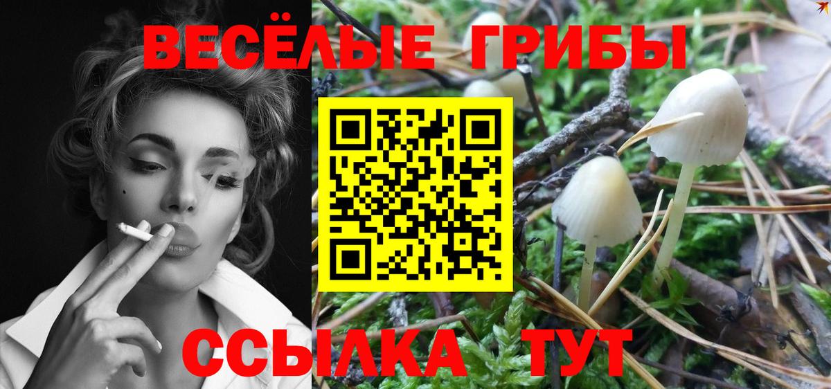 Галлюциногенные грибы GOLDEN TEACHER Малоярославец